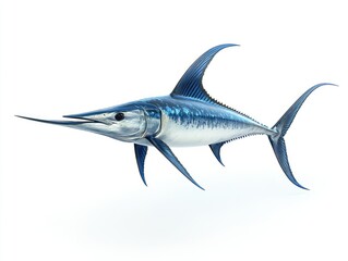 Fototapeta premium Blue fish with pointed snout and fin