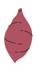 Whole black radish hand drawn