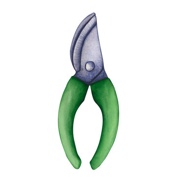 green handled pruning shears isolated clip art preview