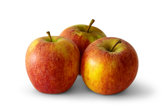 Group of three red apples with yellow and green spots, a sweet-tart crisp textured variety, isolated on white background with soft transparent shadows