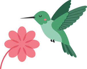 Obraz premium Hummingbird with green wings feeding from pink flower vector illustration in flat style 
