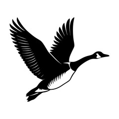 vector illustration of a goose