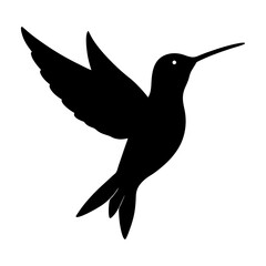 vector illustration of a hummingbird