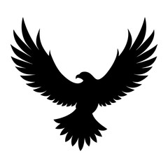 Obraz premium eagle with wings