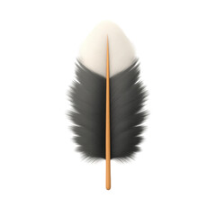 Captivating feather display nature photography close-up still life. Isolated on transparent background, png.
