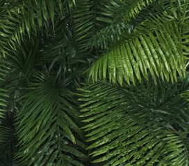 Obraz premium Intricate green palm frond texture, vibrant tropical detail , macro, botany