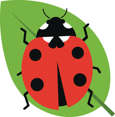 Obraz premium Ladybug on green leaf vector illustration with red and black colors nature insect design 
