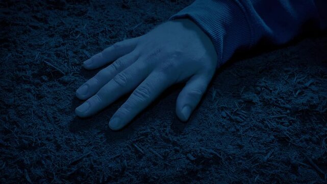 Police Photograph A Body Outside In The Dark