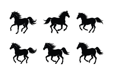 Fototapeta premium Web