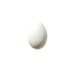 Single White Egg isolated on transparent background