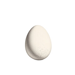 Single White Egg isolated on transparent background