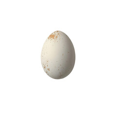 A Single Speckled Egg isolated on transparent background