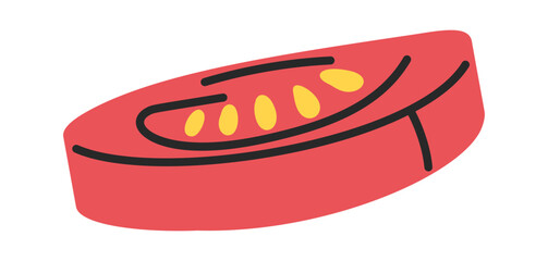 Tomato slice hand drawn vegetable