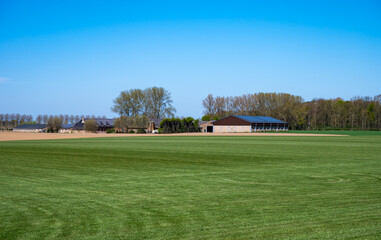 Green meadows and fresh agriculture fields at the Flemish countryside in Elverdinge, Ieper, West Flanders, Belgium