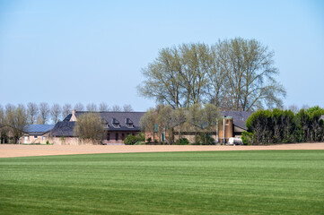 Green meadows and fresh agriculture fields at the Flemish countryside in Elverdinge, Ieper, West Flanders, Belgium