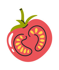 Halved tomato hand drawn vegetable