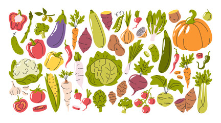 Vegetables doodle hand drawn big set with variety of fresh natural organic vegetarian healthy food