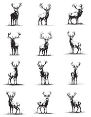 creative vector illustration of deer and elk