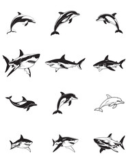 Fototapeta premium creative vector illustration of shark and dolphin