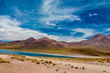 Lakes in Atacama desert. Lagunas altiplanicas in Chile near San Pedro de Atacama village. Natural sights of Chilean Atacama desert. Dry soil and volcano in Andes mountain. Volcano above the lake