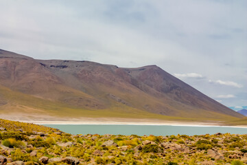 Lakes in Atacama desert. Lagunas altiplanicas in Chile near San Pedro de Atacama village. Natural sights of Chilean Atacama desert. Dry soil and volcano in Andes mountain. Volcano above the lake