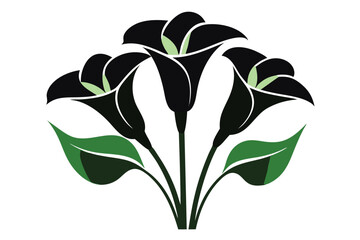 Calla Lily Floral icons of silhouette vector illustration on white background.