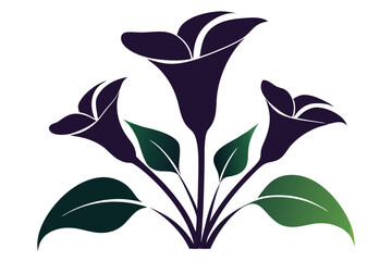 Calla Lily Floral icons of silhouette vector illustration on white background.