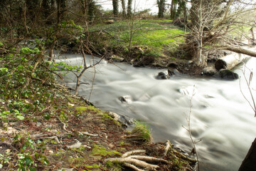 Long exposure of a flowing river in a forest. Smooth water contrasts with the sharp details of...