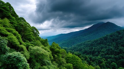 Obraz premium Lush mountain valley under stormy sky