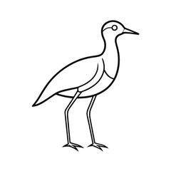 outline of a minimalist plovers line art vector