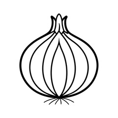 outline of a onion line art vector