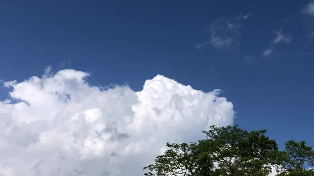 Cloud and Sky with tree