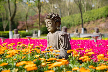 figure of Buddha in spring flower sea