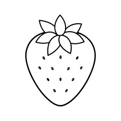 outline of a strawberry line art vector