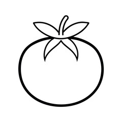 outline of a tomato line art vector