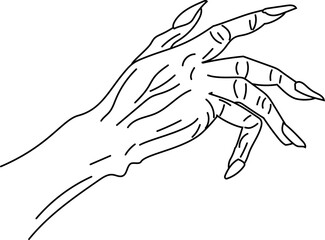 Hand-drawn line art illustration of a witch's creepy hand with sharp nails, perfect for gothic and fantasy art.