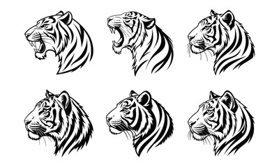 Six Black and White Tiger Head Illustrations