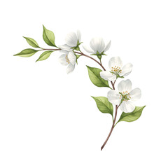 Fototapeta premium Blossoming branch gentle illustration