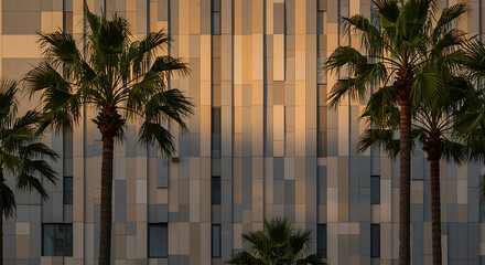 Palm trees against modern building facade illuminated by golden hour light, suitable for architecture, travel, and corporate themes