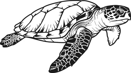 Black and White Vector Sea Turtle Illustration