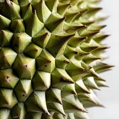 Fototapeta premium Explore the Intricate Durian Spike Textures Captured in Close-Up Shots on a Pristine White Background