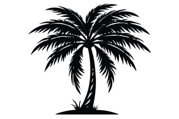 Fototapeta premium Palm tree silhouette vector.
