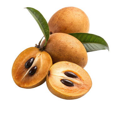 Sweet sapodilla serenade isolated on white background png sapodilla fruit png sapota fruit png tropical fruit png sweet sapodilla png transparent background image
