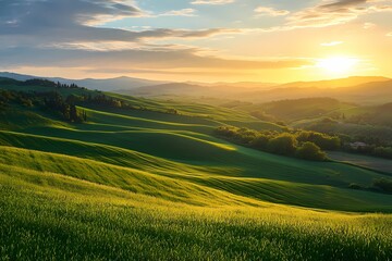 Fototapeta premium Serene Tuscan sunrise Rolling green hills bathed in warm golden light at dawn creating a picturesque landscape