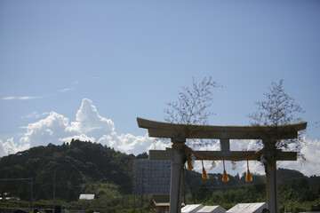 鳥居と夏空
