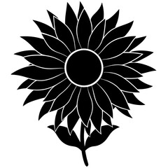 Sunflower vector illustration on white background