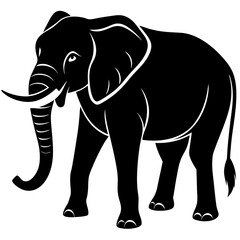 Elephant vector illustration on white background