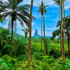 Tropical jungle view of Pico Cão Grande, a dramatic volcanic spire rising from lush greenery under...