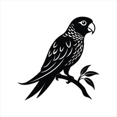  Wild Parrot Bird Silhouette on Tree Branch Vector Illustration