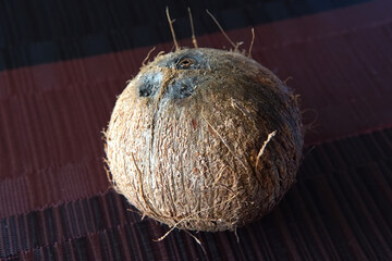 A coconut on a table receiving the sun in Costa Rica